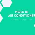 Mold In Air Conditioner