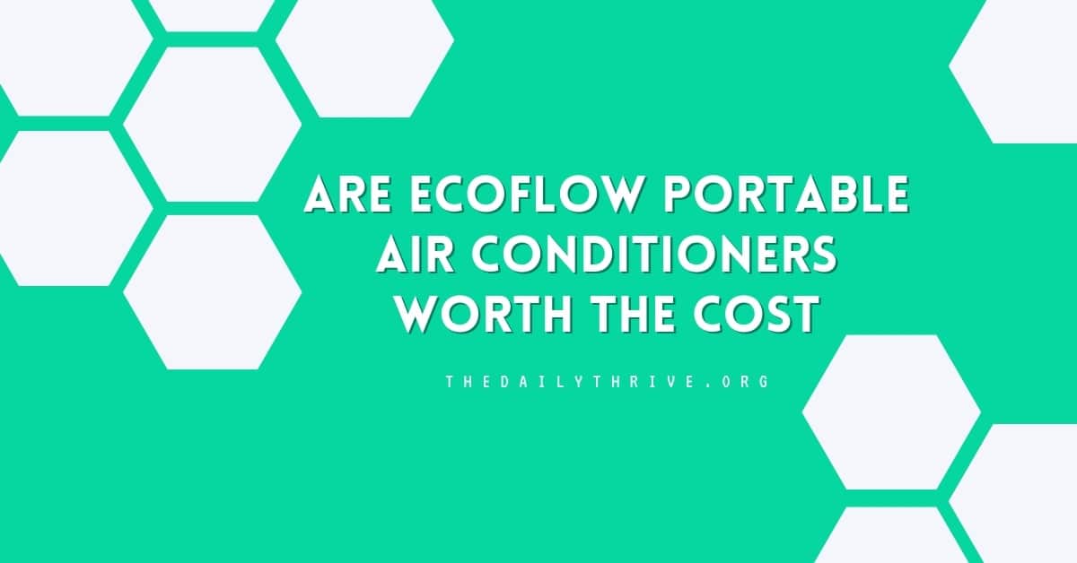 Are EcoFlow Portable Air Conditioners Worth the Cost