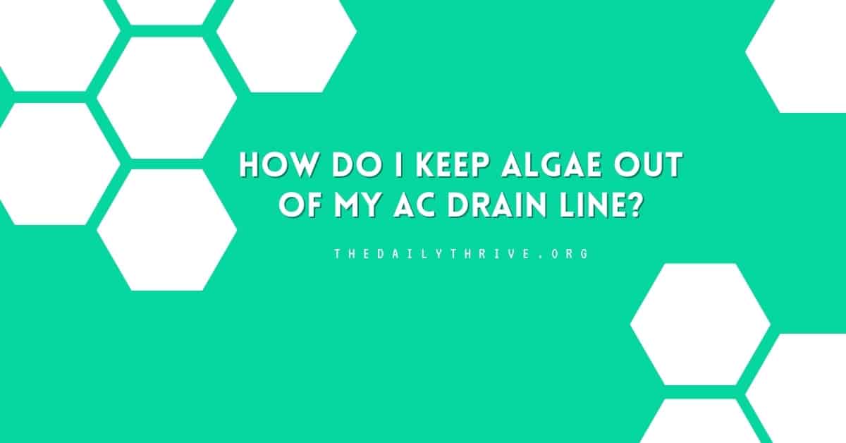How Do I Keep Algae Out Of My AC Drain Line?