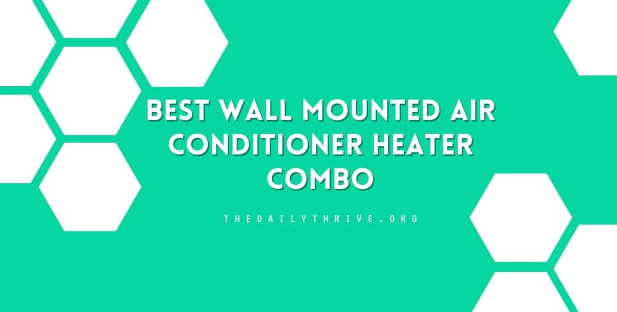 Best Wall Mounted Air Conditioner Heater Combo