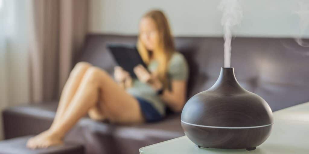 Consider Investing in an Air Purifier and dehumidifier