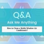 How to Clean a Moldy Window Air Conditioner?